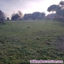 Fotos del anuncio: Venta parcela urbanizable Urb. Calalberche Aldea del Fresno