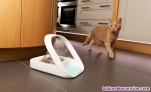 Fotos del anuncio: Comedero Autom�tico con Microchip Gatos