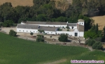 Se vende finca rustica est� situada en la antigua carretera de Arcos Jerez A-382