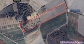 Fotos del anuncio: Parcela agraria en Villar de Rena Badajoz