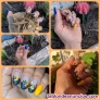 Fotos del anuncio: Manicura A DOMICILIO 