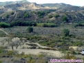 Fotos del anuncio: Vendo finca r�stica