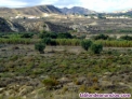 Fotos del anuncio: Vendo finca r�stica