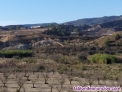 Fotos del anuncio: VENDO FINCA R�STICA con pozo