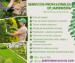 Servicios de Jardiner�a Profesional en Castellon, Valencia, Benicassim